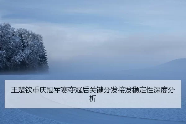 wang-chu-qin-chong-qing-guan-jun-sai-duo-guan-hou-guan-jian-fen-fa-jie-fa-wen-ding-xing-shen-du-fen-xi-2-294.jpg